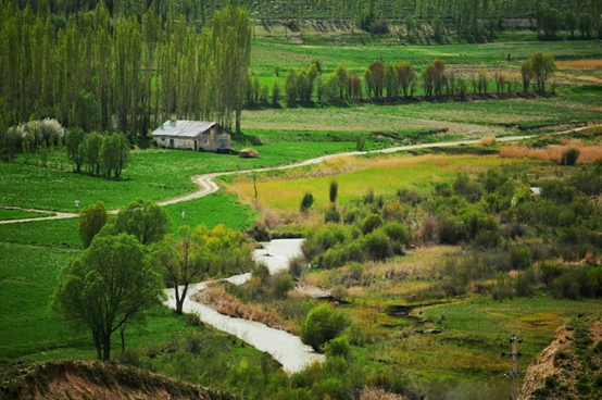 خرید زمین در سله بن