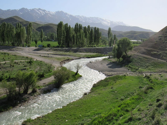خرید زمین در سله بن
