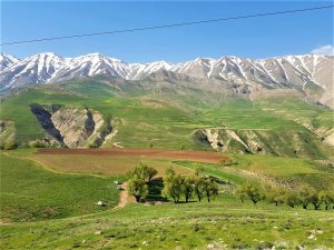 قیمت زمین در روستای سلهبن فیروزکوه 3 قیمت زمین در روستای سلهبن فیروزکوه